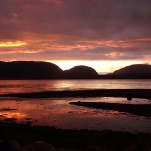 Meet your Posher, Paul